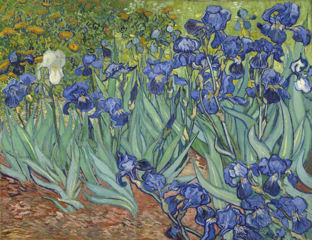 Vincent van Gogh [Dutch, 1853 - 1890], Irises, Dutch, 1889, Oil on canvas, Digital image courtesy of the Getty’s Open Content Program.